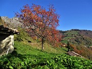 07 Vista sul percorso di salita alla Baita Campo (1442 m) 